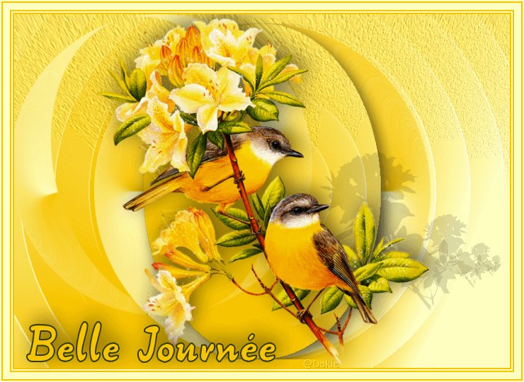 Jeudi 19 mars 2015 .. C'est le week end !! 1511053_735067283210991_7922960499908316152_n