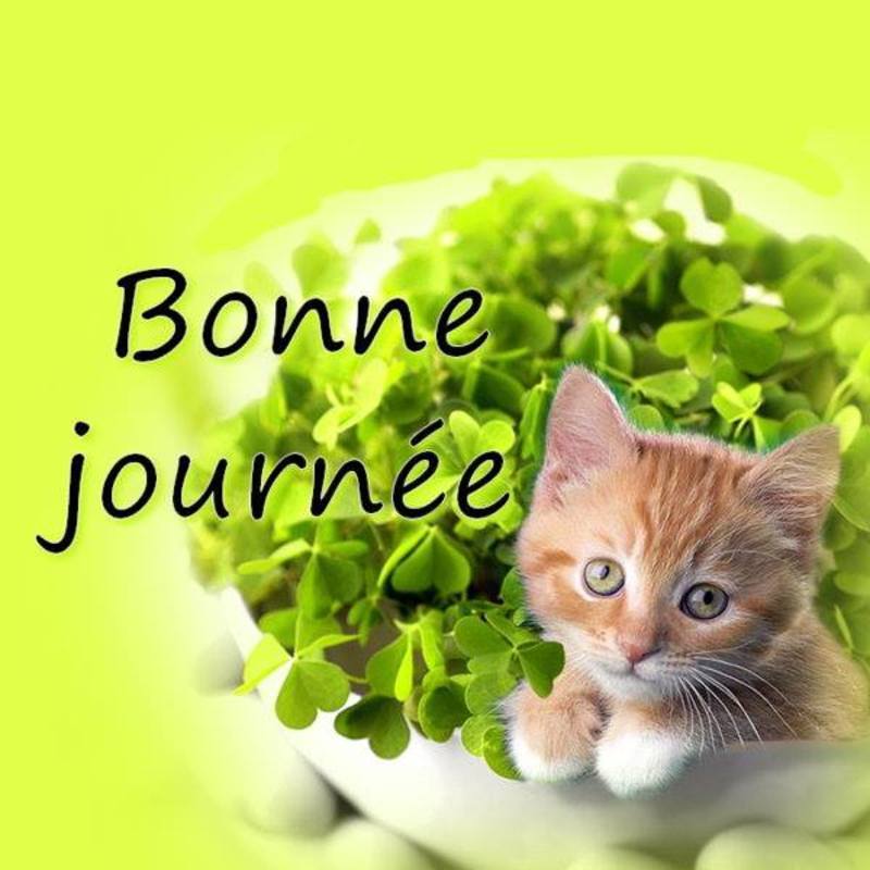 Vendredi 9 janvier 2015 1622668_239541559502846_1686880958_n