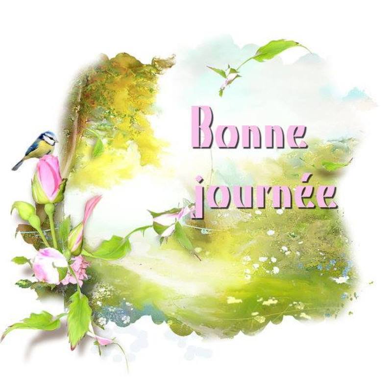 Vendredi 17 juillet 2015 1888544_239423846181284_1652470020_n