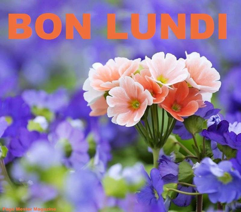 Lundi 9 Février, on rattaque une semaine... 694_223377651120477_1207795724_n