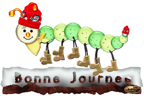 mercredi 11 décembre 2013 734196_2782830107514_1603152268_n