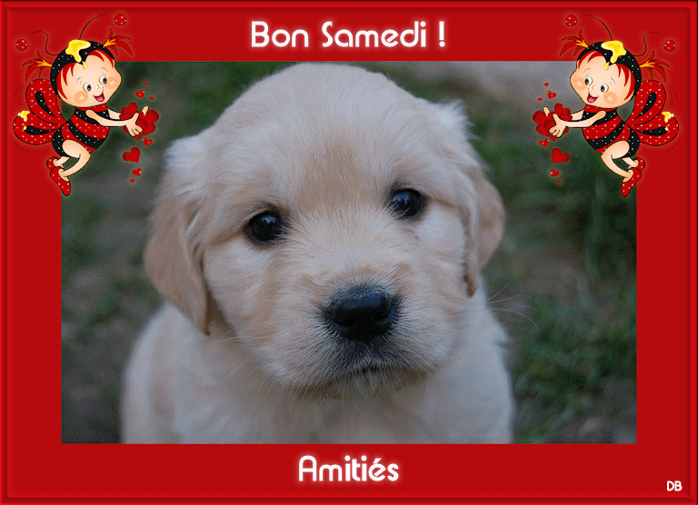 Samedi 7 mars 2015 A3eaa65d_1