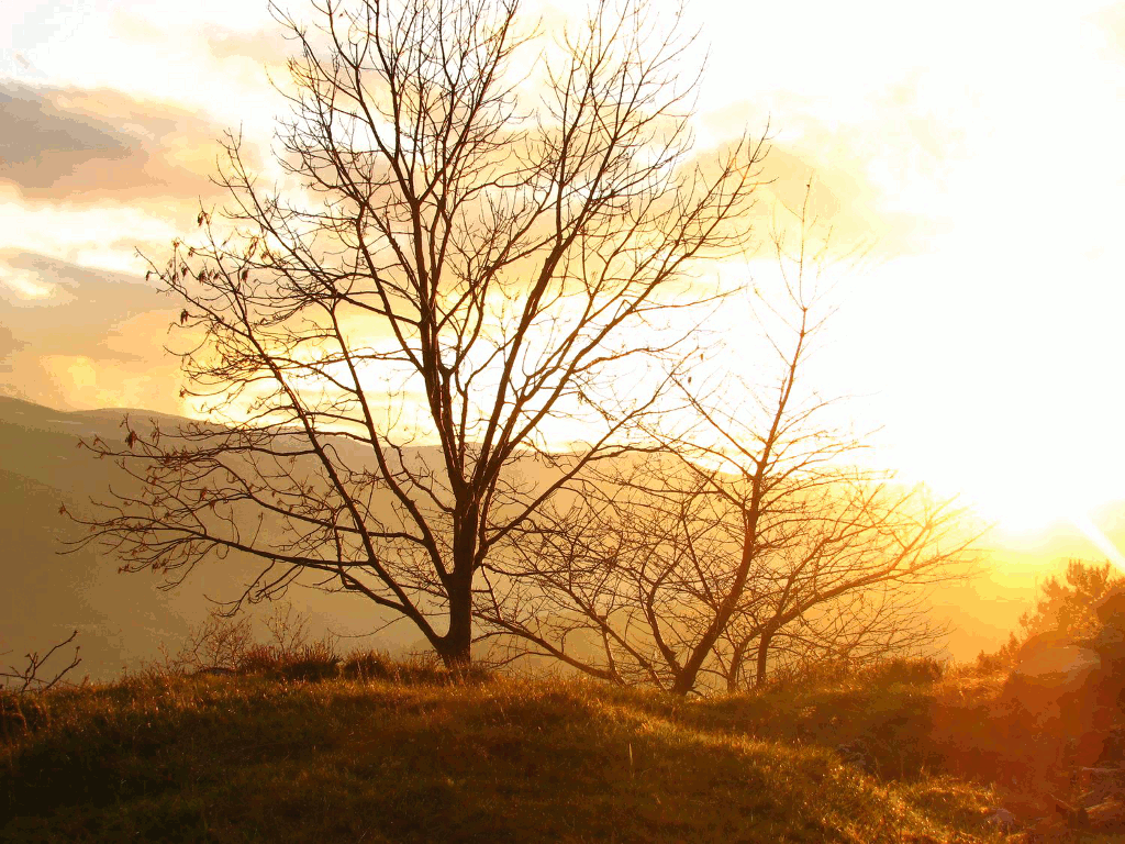Automne (gifs et paysages) Automne (gifs et paysages)