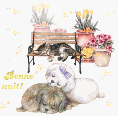 Image du Blog lespetitescroixdanaide.centerblog.net