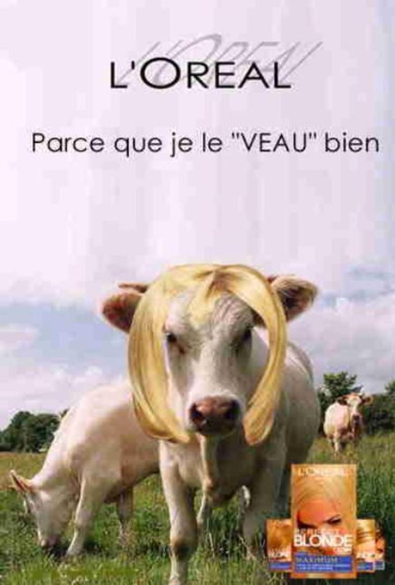 jeudi 26 septembre Pp6vzpmo